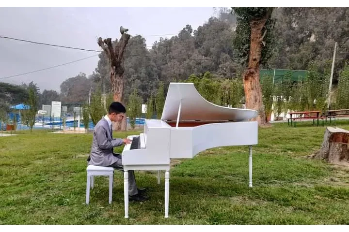Piano teacher image 1