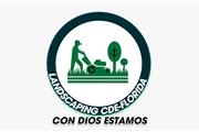 Landscaping CDE en Orlando