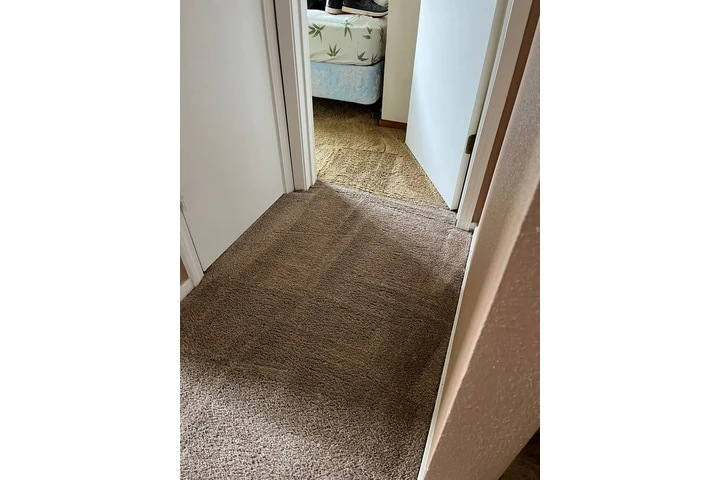 Rafa Carpet Cleaning image 3