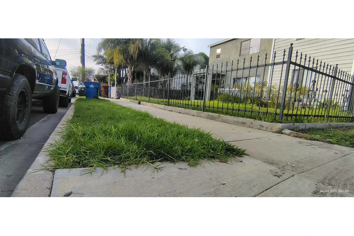 Corte de pasto 🏡$35 image 1