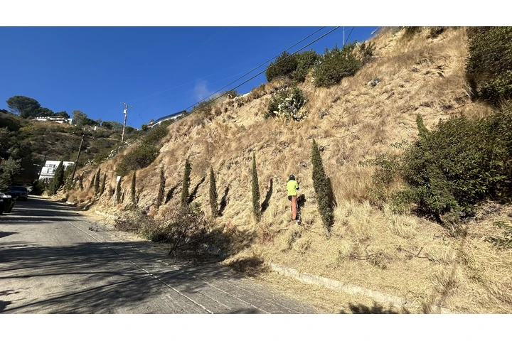 Se buscan Jardineros image 4