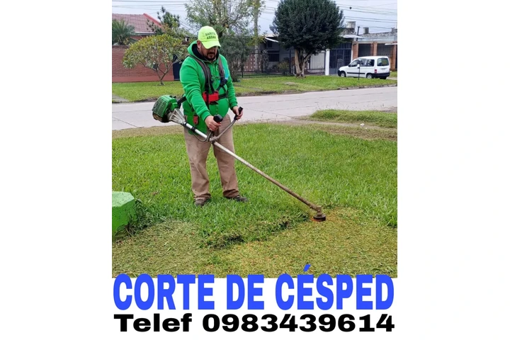 Corte de césped en Iñaquito image 1