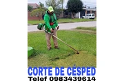 Corte de césped en Iñaquito en Quito