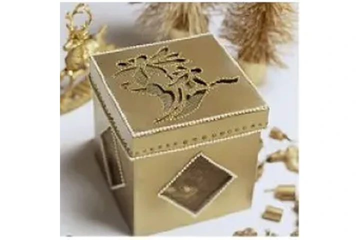 AROGYAM  BREAST UPLIFTING KIT image 1