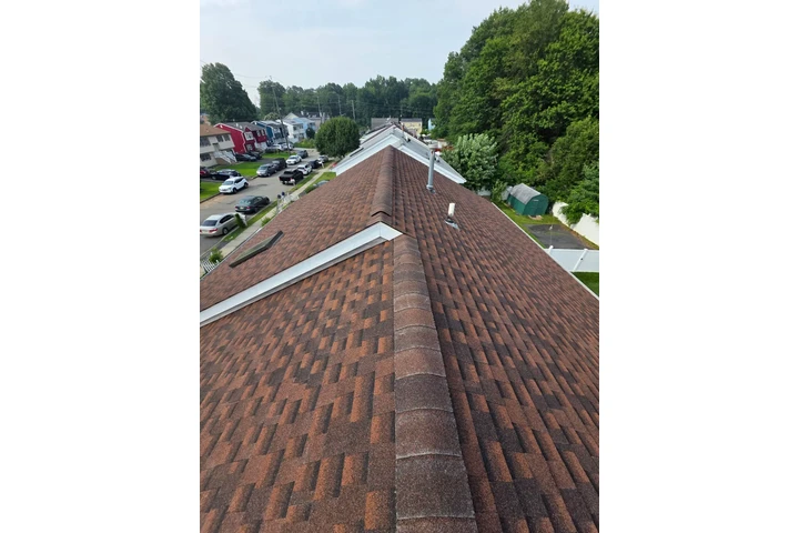 Professional Roofing Services image 4