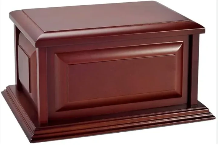 $1 : Terreno en Venta en Cementerio image 3