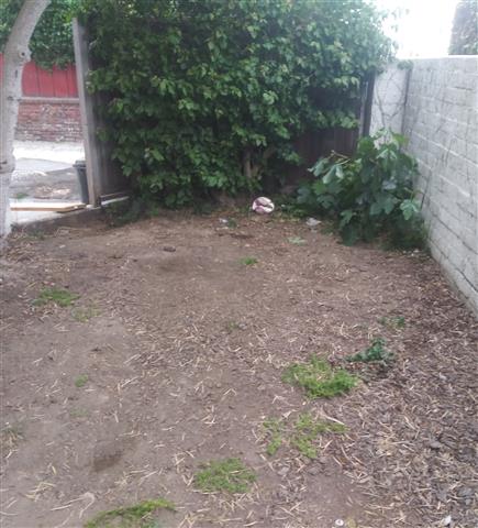 Landscaping and Maintenance image 1