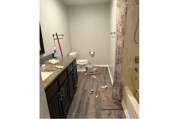 PROFESIONAL DE LIMPIEZA image 2