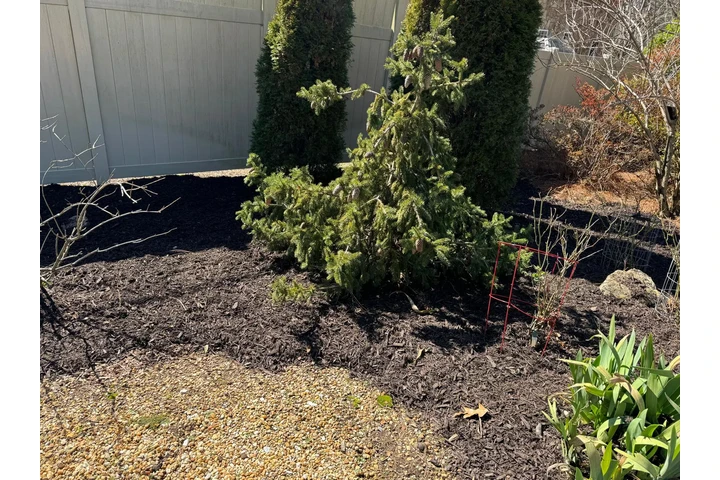 Diaz Lawn Care And Landscaping image 2