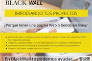 GRUPO EMPRESARIAL BLACK WALL thumbnail 2
