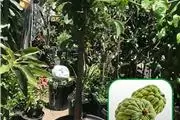 Nueva Esperanza Nursery thumbnail