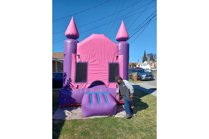 *TOROS MECANICOS $$300*CARPAS* image 9