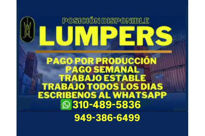 SE SOLICITA DESCARGADORES image 1