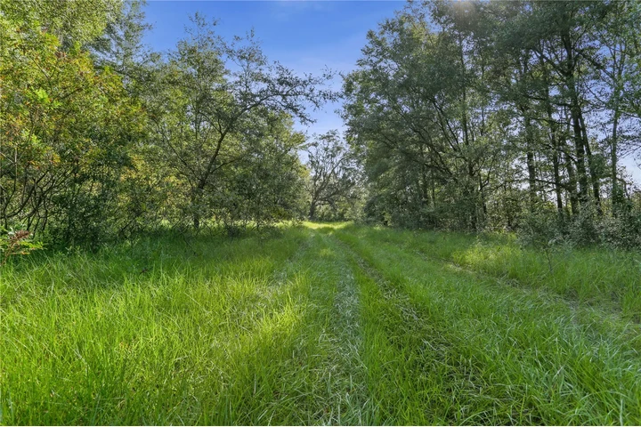 80 acres A10 MINUTOS DE TOD0 image 3