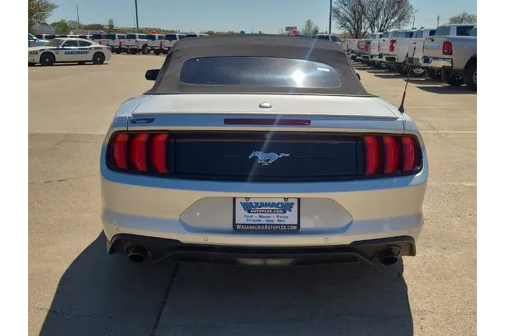 $18577 : Ford Mustang 2019 EcoBoost P image 4