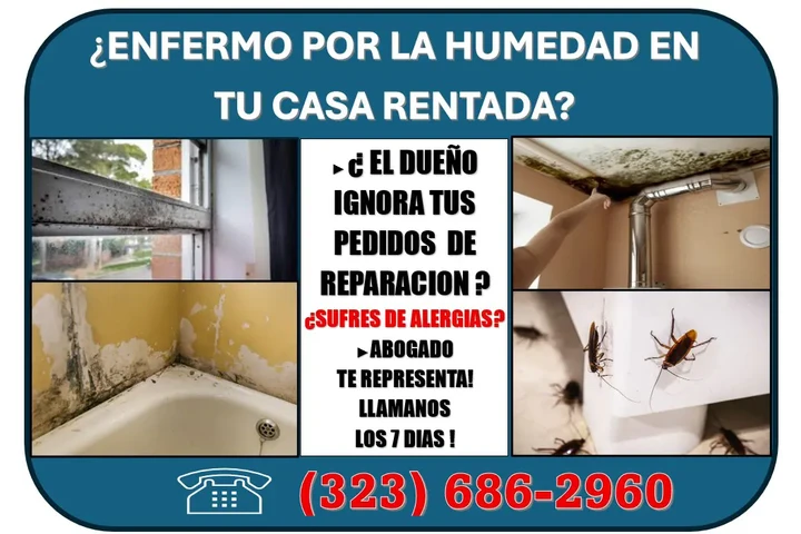 🔥HUMEDAD EN CASA? ENFERMO? 📞 image 3