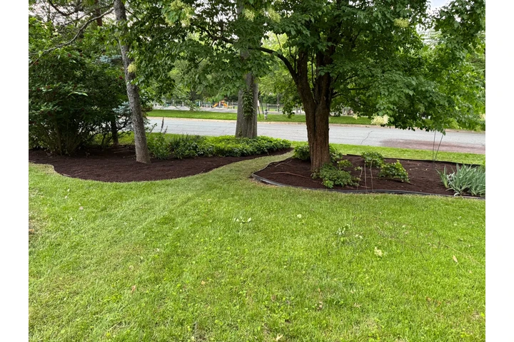 LANDSCAPING SERVICES image 9