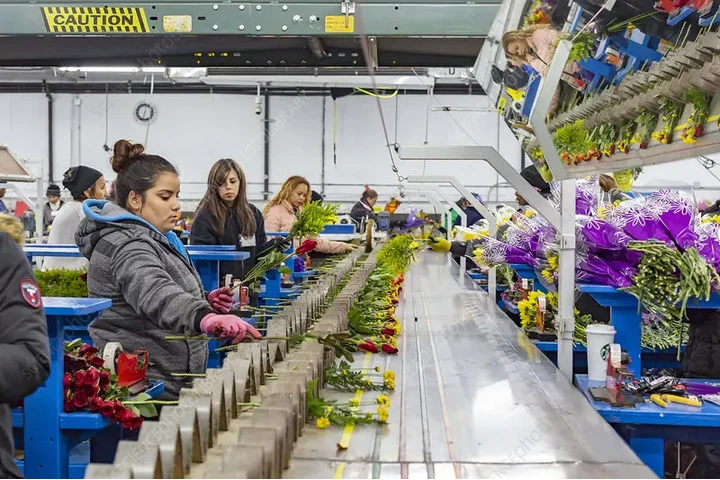 Estamos Contratando image 1