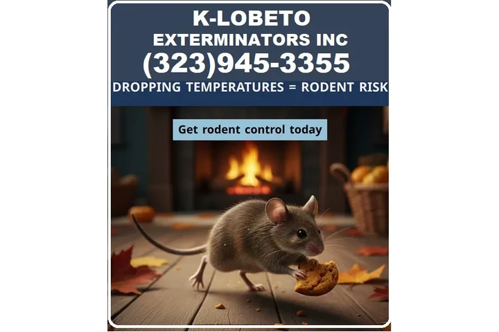 FUMIGATION ALL LOS ANGELES.- image 2