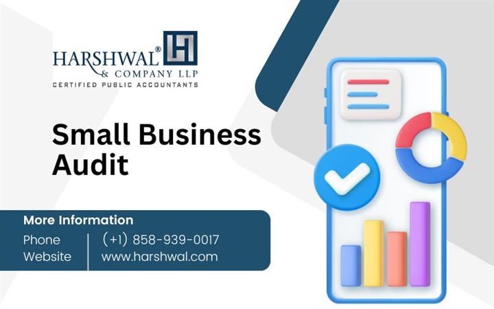 Small business audit image 1