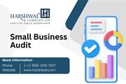 Small business audit