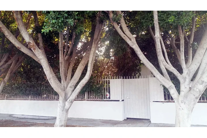 $1375 : North Hollywood 🏡 image 2
