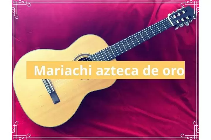 Mariachi Azteca De Oro image 5