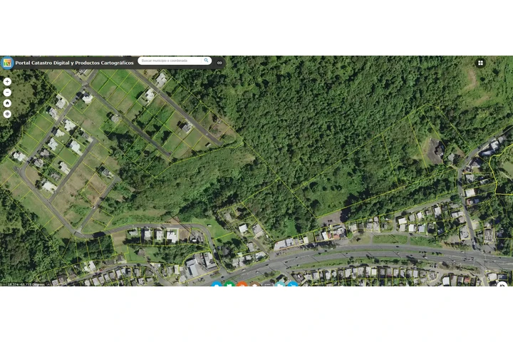 $82000 : URB MIRADOR DE PALMER , #41 image 5