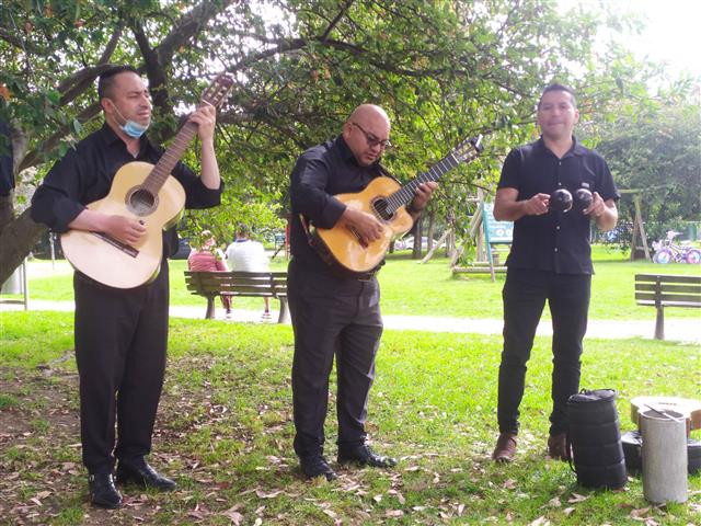 Trio de cuerdas para eventos image 2