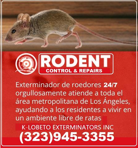 RODENTS PEST CONTROL SERVICES image 8