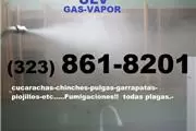 EXTERMINADORES ECONOMICOS 24*7 en Los Angeles