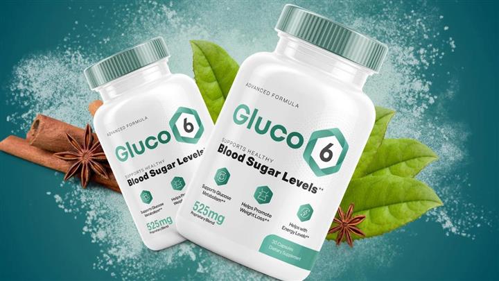 GLUCO 6, Blood Sugar Support image 3