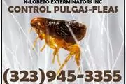 PEST CONTROL SERVICES 24/7.- thumbnail