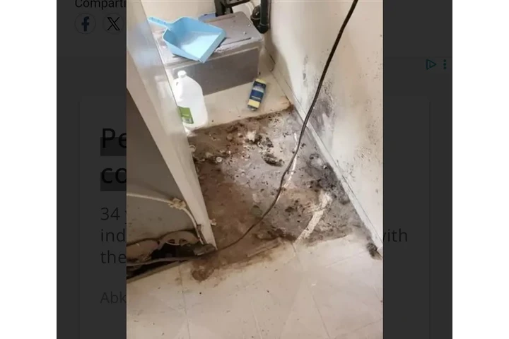 LIMPIEZA DE CASAS 🏘️ OFICINAS image 3