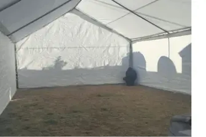 CARPAS EN RENTA image 7