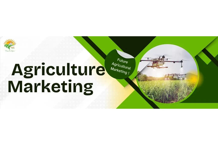 Smart Strategies for Profitabl image 1