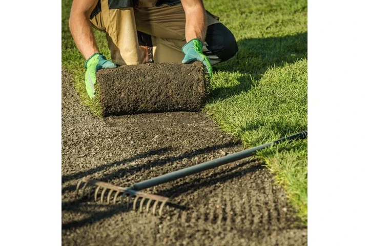 Huitec Landscaping image 6