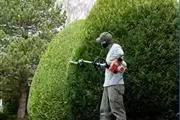 Julio General Landscaping Serv thumbnail 1