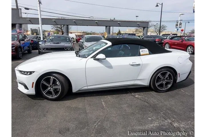 $34880 : Ford Mustang 2024 EcoBoost P image 6