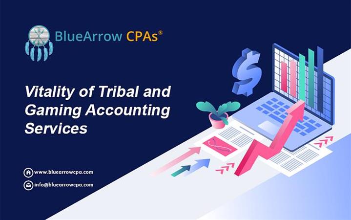 Tribal and Gaming Accounting image 1