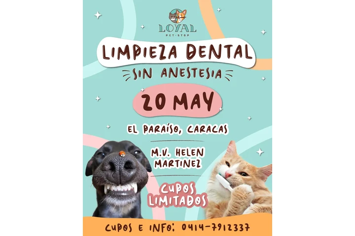 Vacunación Veterinaria Mensual image 6