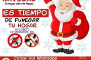 FUMIGACIONES NAVIDEÑAS 24/7.- thumbnail