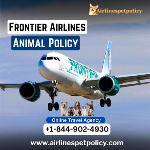 What Is Frontier Animal Policy image 1