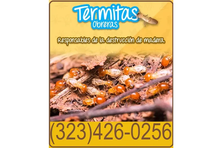 FUMIGACIONES TERMITAS L.A.- image 8