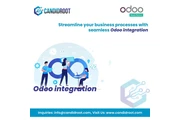 Odoo ERP Integration Services en Toronto