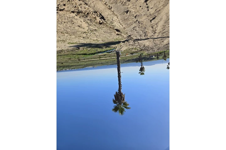 $68000 : tu hogar frente al mar image 5