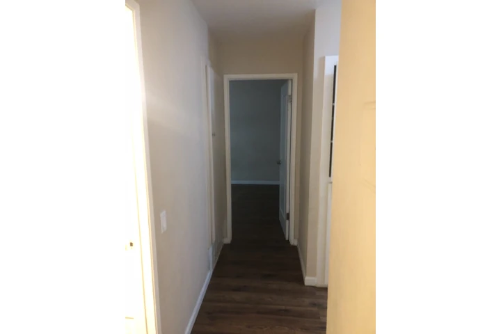 $2000 : Apartment image 4