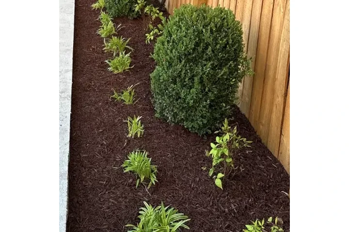 Landscaping services image 1