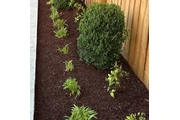 Landscaping services en Nashville