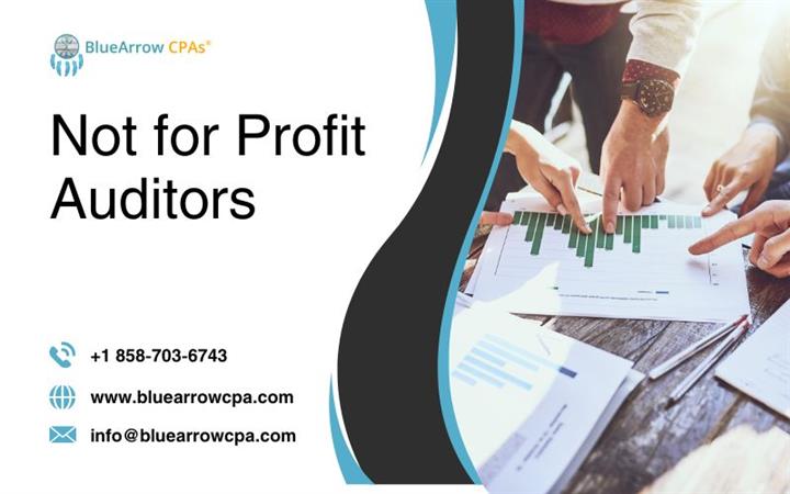 Hire Not for Profit Auditors image 1